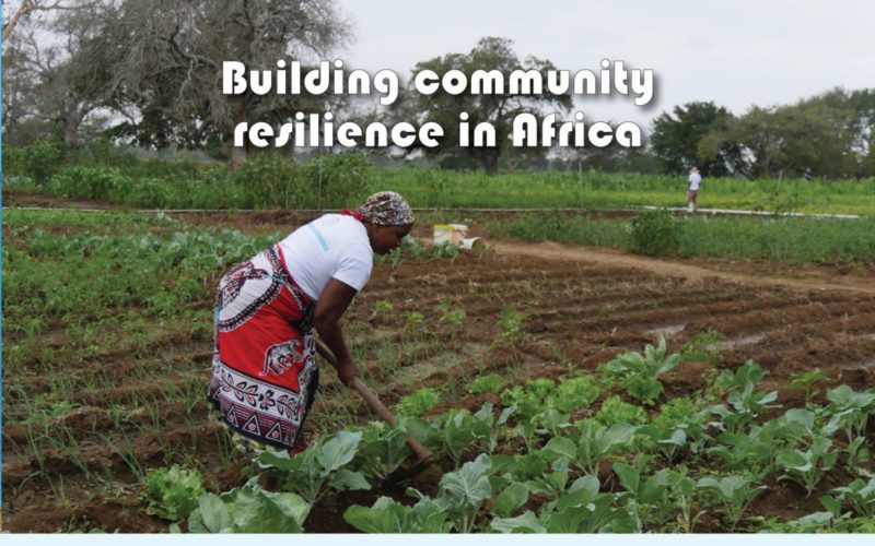 Building resilience in Africa