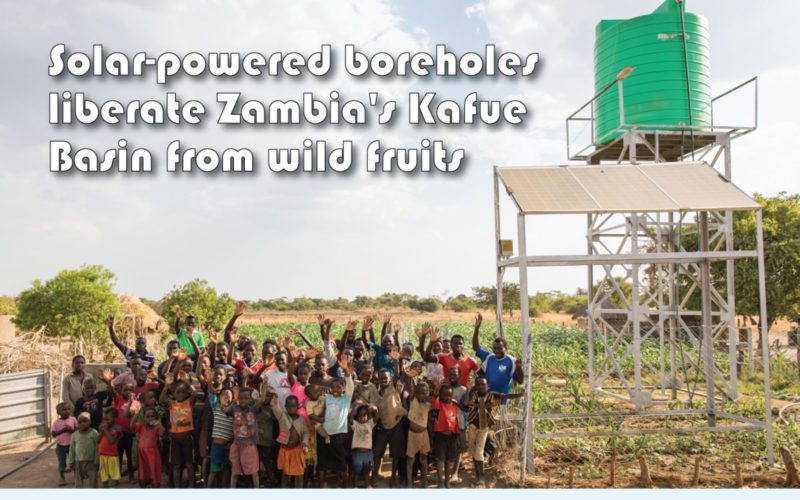 Solar-powered boreholes liberate Zambia's Kafue Basin from wild fruits.