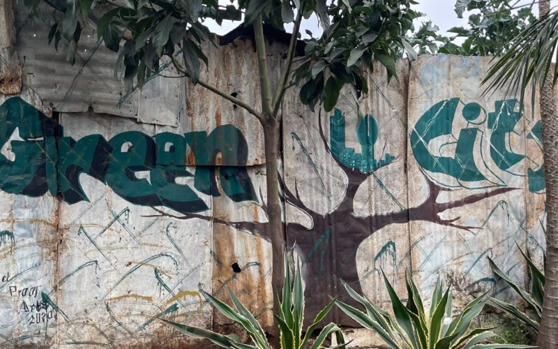 Kenyan youths transforms a top crime landfill hotspot into a green space.