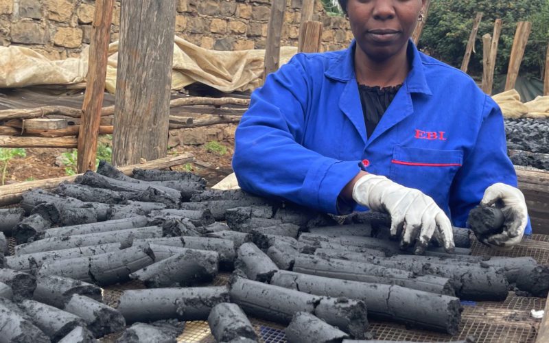 Kenyan entrepreneur turned to Greener Charcoal to save her poultry.