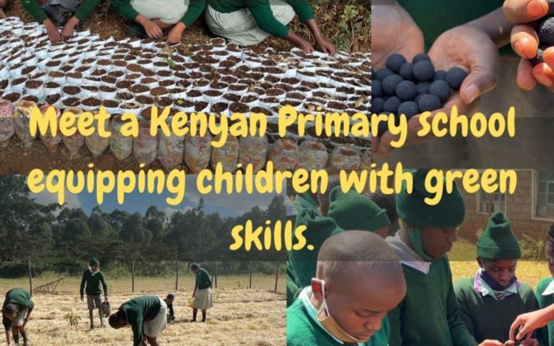 Meet a Kenyan Primary school equipping children with green skills.
