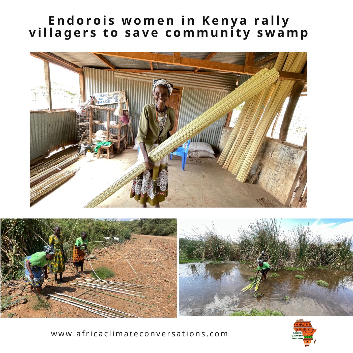 Endorois women in Kenya rally villagers to save community swamp.