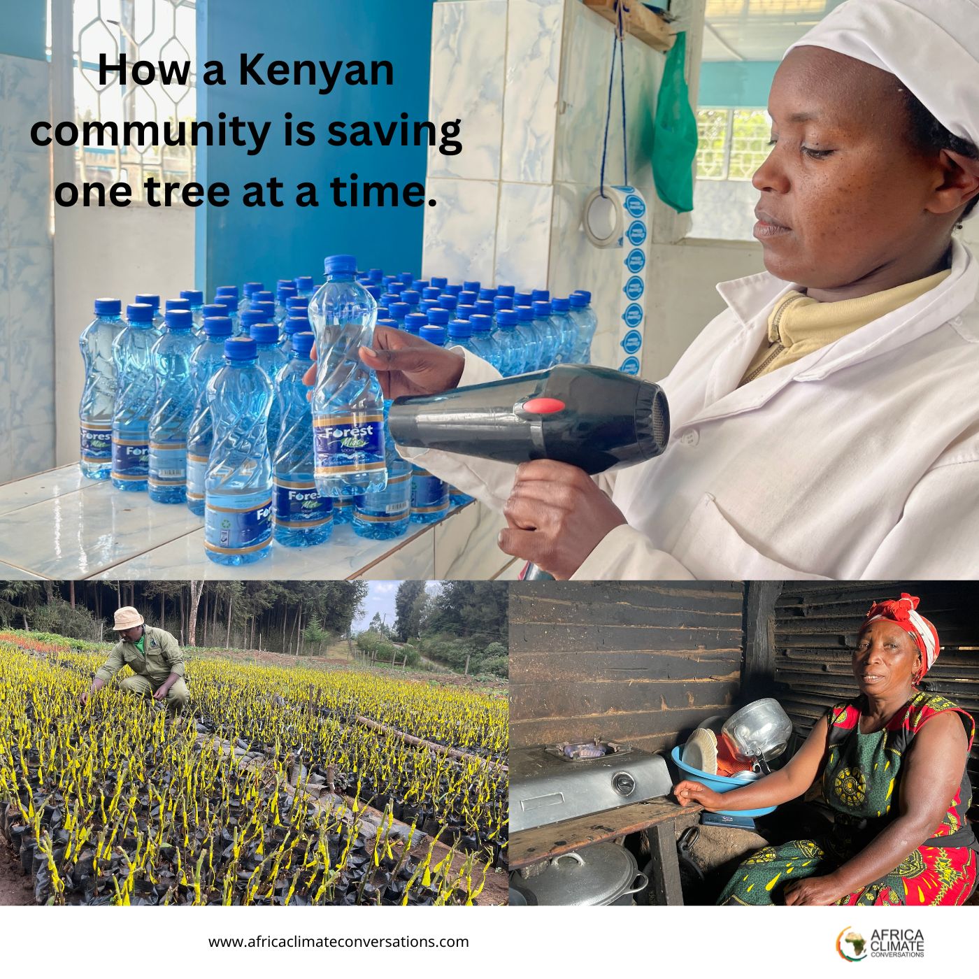 How a Kenyan community is saving one tree at a time.