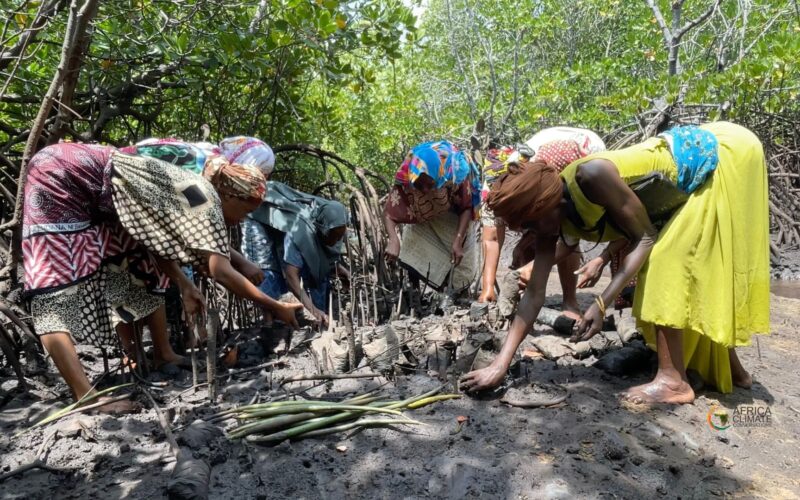 Empowering Women, Revitalizing Mangroves: A Story from Kenya